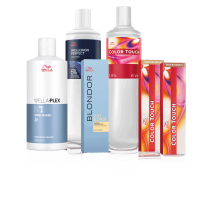 PNG_HighRes-Illuminated-Colors-Movement_Group_015